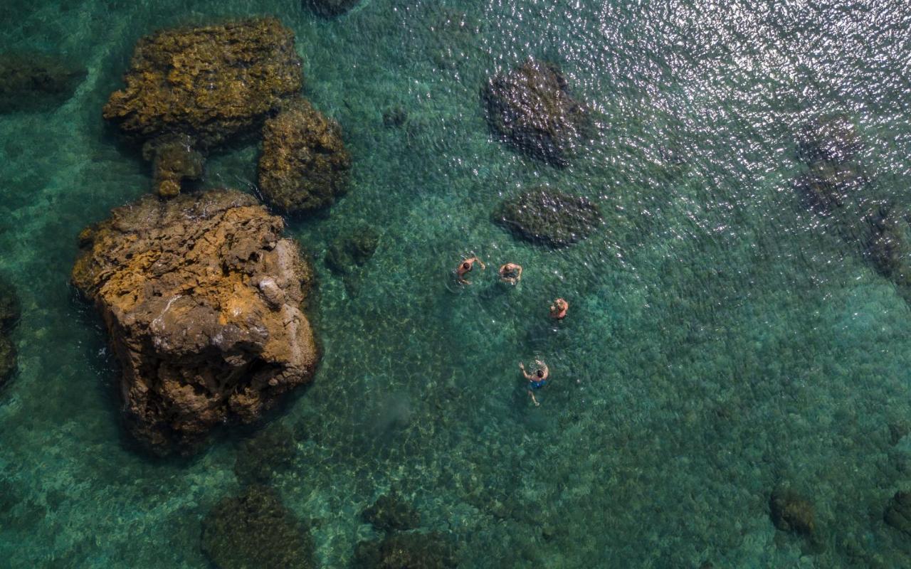 Los Vivos Beachfront Experience Pochote 外观 照片