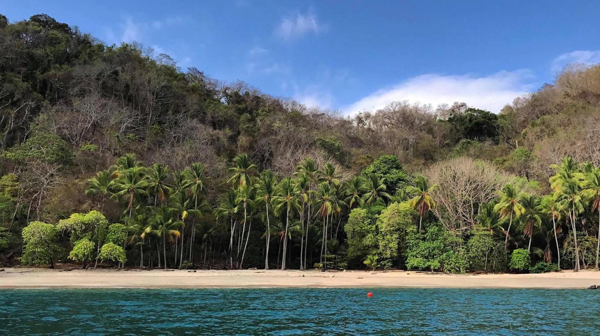 Los Vivos Beachfront Experience Pochote 外观 照片